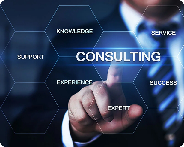 Consultations and support